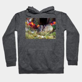 pair of  mice at winter log cabin very festive Hoodie